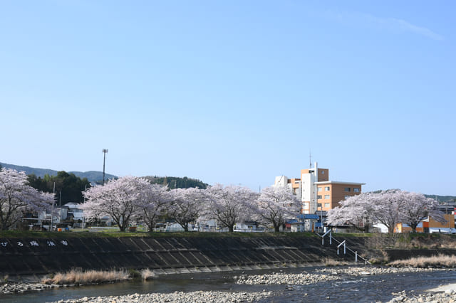 瑞浪市で賃貸管理をする上で知っておきたい賃貸市場の現状