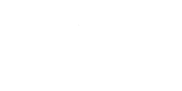 The-1st-Plan